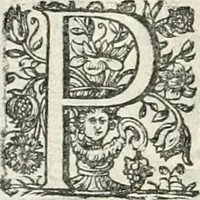 Picture 67 of 127 from Innocentia vindicata : in qua gravissimis argumentis ex S. Thoma petitis ostenditur, angelicum doctorem pro immaculato conceptu Deiparae sensisse & scripsisse ... (1698), leaf 177