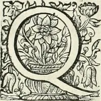 Picture 72 of 127 from Innocentia vindicata : in qua gravissimis argumentis ex S. Thoma petitis ostenditur, angelicum doctorem pro immaculato conceptu Deiparae sensisse & scripsisse ... (1698), leaf 181