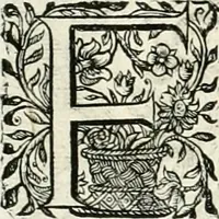 An illustration from Innocentia vindicata : in qua gravissimis argumentis ex S. Thoma petitis ostenditur, angelicum doctorem pro immaculato conceptu Deiparae sensisse & scripsisse ... (1698)