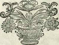 An illustration from Innocentia vindicata : in qua gravissimis argumentis ex S. Thoma petitis ostenditur, angelicum doctorem pro immaculato conceptu Deiparae sensisse & scripsisse ... (1698)