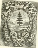 Picture 81 of 127 from Innocentia vindicata : in qua gravissimis argumentis ex S. Thoma petitis ostenditur, angelicum doctorem pro immaculato conceptu Deiparae sensisse & scripsisse ... (1698), leaf 188