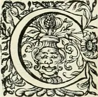 An illustration from Innocentia vindicata : in qua gravissimis argumentis ex S. Thoma petitis ostenditur, angelicum doctorem pro immaculato conceptu Deiparae sensisse & scripsisse ... (1698)