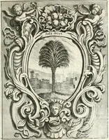 Picture 86 of 127 from Innocentia vindicata : in qua gravissimis argumentis ex S. Thoma petitis ostenditur, angelicum doctorem pro immaculato conceptu Deiparae sensisse & scripsisse ... (1698), leaf 192