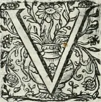 An illustration from Innocentia vindicata : in qua gravissimis argumentis ex S. Thoma petitis ostenditur, angelicum doctorem pro immaculato conceptu Deiparae sensisse & scripsisse ... (1698)
