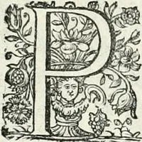 An illustration from Innocentia vindicata : in qua gravissimis argumentis ex S. Thoma petitis ostenditur, angelicum doctorem pro immaculato conceptu Deiparae sensisse & scripsisse ... (1698)