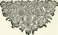 An illustration from Innocentia vindicata : in qua gravissimis argumentis ex S. Thoma petitis ostenditur, angelicum doctorem pro immaculato conceptu Deiparae sensisse & scripsisse ... (1698)