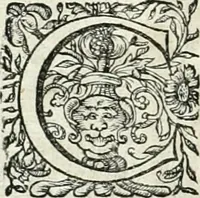 An illustration from Innocentia vindicata : in qua gravissimis argumentis ex S. Thoma petitis ostenditur, angelicum doctorem pro immaculato conceptu Deiparae sensisse & scripsisse ... (1698)