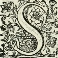An illustration from Innocentia vindicata : in qua gravissimis argumentis ex S. Thoma petitis ostenditur, angelicum doctorem pro immaculato conceptu Deiparae sensisse & scripsisse ... (1698)