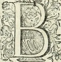 An illustration from Innocentia vindicata : in qua gravissimis argumentis ex S. Thoma petitis ostenditur, angelicum doctorem pro immaculato conceptu Deiparae sensisse & scripsisse ... (1698)