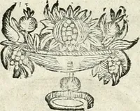 An illustration from Innocentia vindicata : in qua gravissimis argumentis ex S. Thoma petitis ostenditur, angelicum doctorem pro immaculato conceptu Deiparae sensisse & scripsisse ... (1698)