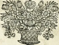 An illustration from Innocentia vindicata : in qua gravissimis argumentis ex S. Thoma petitis ostenditur, angelicum doctorem pro immaculato conceptu Deiparae sensisse & scripsisse ... (1698)