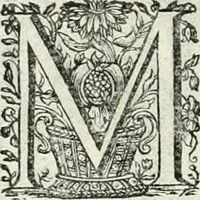 Picture 118 of 127 from Innocentia vindicata : in qua gravissimis argumentis ex S. Thoma petitis ostenditur, angelicum doctorem pro immaculato conceptu Deiparae sensisse & scripsisse ... (1698), leaf 223