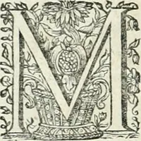 An illustration from Innocentia vindicata : in qua gravissimis argumentis ex S. Thoma petitis ostenditur, angelicum doctorem pro immaculato conceptu Deiparae sensisse & scripsisse ... (1698)