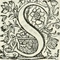 An illustration from Innocentia vindicata : in qua gravissimis argumentis ex S. Thoma petitis ostenditur, angelicum doctorem pro immaculato conceptu Deiparae sensisse & scripsisse ... (1698)
