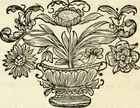 Picture 8 of 127 from Innocentia vindicata : in qua gravissimis argumentis ex S. Thoma petitis ostenditur, angelicum doctorem pro immaculato conceptu Deiparae sensisse & scripsisse ... (1698), leaf 25
