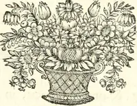 An illustration from Innocentia vindicata : in qua gravissimis argumentis ex S. Thoma petitis ostenditur, angelicum doctorem pro immaculato conceptu Deiparae sensisse & scripsisse ... (1698)