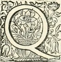 Picture 11 of 127 from Innocentia vindicata : in qua gravissimis argumentis ex S. Thoma petitis ostenditur, angelicum doctorem pro immaculato conceptu Deiparae sensisse & scripsisse ... (1698), leaf 39