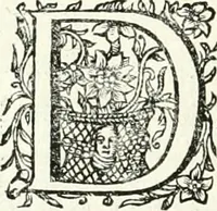 An illustration from Innocentia vindicata : in qua gravissimis argumentis ex S. Thoma petitis ostenditur, angelicum doctorem pro immaculato conceptu Deiparae sensisse & scripsisse ... (1698)