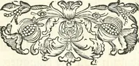 An illustration from Innocentia vindicata : in qua gravissimis argumentis ex S. Thoma petitis ostenditur, angelicum doctorem pro immaculato conceptu Deiparae sensisse & scripsisse ... (1698)