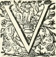 An illustration from Innocentia vindicata : in qua gravissimis argumentis ex S. Thoma petitis ostenditur, angelicum doctorem pro immaculato conceptu Deiparae sensisse & scripsisse ... (1698)