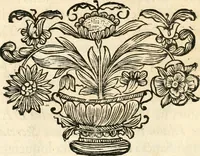 An illustration from Innocentia vindicata : in qua gravissimis argumentis ex S. Thoma petitis ostenditur, angelicum doctorem pro immaculato conceptu Deiparae sensisse & scripsisse ... (1698)