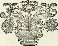 An illustration from Innocentia vindicata : in qua gravissimis argumentis ex S. Thoma petitis ostenditur, angelicum doctorem pro immaculato conceptu Deiparae sensisse & scripsisse ... (1698)