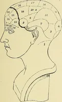 An illustration from A vindication of phrenology (1894)