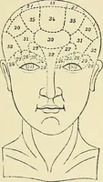 An illustration from A vindication of phrenology (1894)