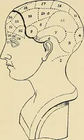 An illustration from A vindication of phrenology (1894)
