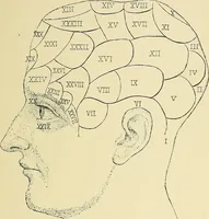 An illustration from A vindication of phrenology (1894)
