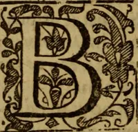 An illustration from Vindiciae Ministerii Evangelici : a Vindication of the great Ordinance of God, viz. a gospel-ministry .. (1651)