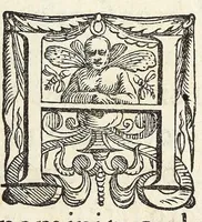 Picture 1 of 23 from Vinea Domini : cum breui descriptione sacramentor[um] et Paradisi, Limbi, Purgatorij, atq[ue] Inferni, à cathechismo catholicis q[ue] patribus excerpta (1588), leaf 7