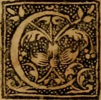 Picture 25 of 25 from Vint sermons de Iean Daillé : prononcés à Charenton sur certains jours et certains temps de l'année. (1658), leaf 808