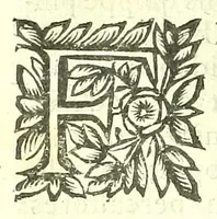 Picture 31 of 40 from Vipera Pythia : (1651), leaf 254