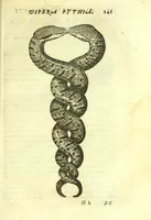 Picture 32 of 40 from Vipera Pythia : (1651), leaf 265