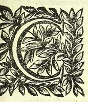 Picture 37 of 40 from Vipera Pythia : (1651), leaf 429