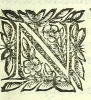 Picture 38 of 40 from Vipera Pythia : (1651), leaf 461