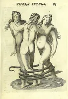 Picture 19 of 40 from Vipera Pythia : (1651), leaf 87