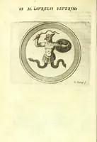Picture 21 of 40 from Vipera Pythia : (1651), leaf 92