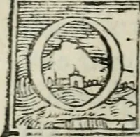 An illustration from Virginia (1553)