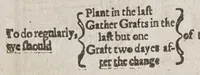 Picture 12 of 12 from Virginia: more especially the south part thereof, richly and truly valued: : viz. The fertile Carolana, and no lesse excellent Isle of Roanoak, of latitude from 31. to 37. degr. relating the meanes of raysing infinite profits to the adventurers and planters. (1650), leaf 153