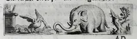 Picture 4 of 17 from Virginii Caesarini Carmina (1658), leaf 48