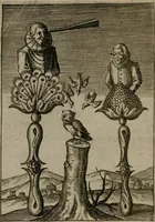Picture 67 of 91 from Viridarium hieroglyphico-morale : in quo virtutes et vitia, atque mores huius aeui secundum tres ordines hierarchicos, ecclesiasticum, politicum, oeconomicum, per definitiones, distributiones, causas, adfectiones, adiuncta, effecta &c. piè, prudenter, dextrè ac variè explicantur, & non tantum dictis, & exemplis historiarum veterum ac recentium, ex sacris scripturis, sanctis patribus, seu Dd. ecclesiae, poetis, philosophis, historicis cum Christianorum tum gentilium, sed etiam artificiosissimis eiconibus hieroglyphicis illustrantur : opusculum novum ac rarum, cuius vsum atq[ue] vtilitatem praefixa praefatio docebit (1619), leaf 139