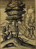 An illustration from Viridarium hieroglyphico-morale. In quo ... mores huius aevi ... explicantur, & non tantum dictis, & exemplis historiarum veterum ac recentium, ex sacris scripturis, sanctis Patribus, seu Dd. ecclesiae, poetis, philosophis, historicis cum Christianorum tum gentilium, sed etiam artificiosissimis eiconibus hieroglyphicis illustrantur (1619)