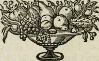 Picture 9 of 24 from Virtutes cardinales ethico emblemate expressae : ad praenob. et generos. dominum D. Franciscum de Kinschot, equitem ordinis S. Iacobi, etc (1645), leaf 27