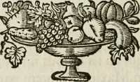 Picture 13 of 24 from Virtutes cardinales ethico emblemate expressae : ad praenob. et generos. dominum D. Franciscum de Kinschot, equitem ordinis S. Iacobi, etc (1645), leaf 35