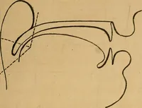 An illustration from Visible speech, the science of universal alphabets, : or Self-interpreting physiological letters, for the writing of all languages in one alphabet ; illustrated by tables, diagrams, and examples (1867)
