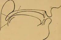 An illustration from Visible speech, the science of universal alphabets, : or Self-interpreting physiological letters, for the writing of all languages in one alphabet ; illustrated by tables, diagrams, and examples (1867)