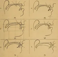 An illustration from Visible speech, the science of universal alphabets, : or Self-interpreting physiological letters, for the writing of all languages in one alphabet ; illustrated by tables, diagrams, and examples (1867)