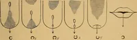An illustration from Visible speech, the science of universal alphabets, : or Self-interpreting physiological letters, for the writing of all languages in one alphabet ; illustrated by tables, diagrams, and examples (1867)